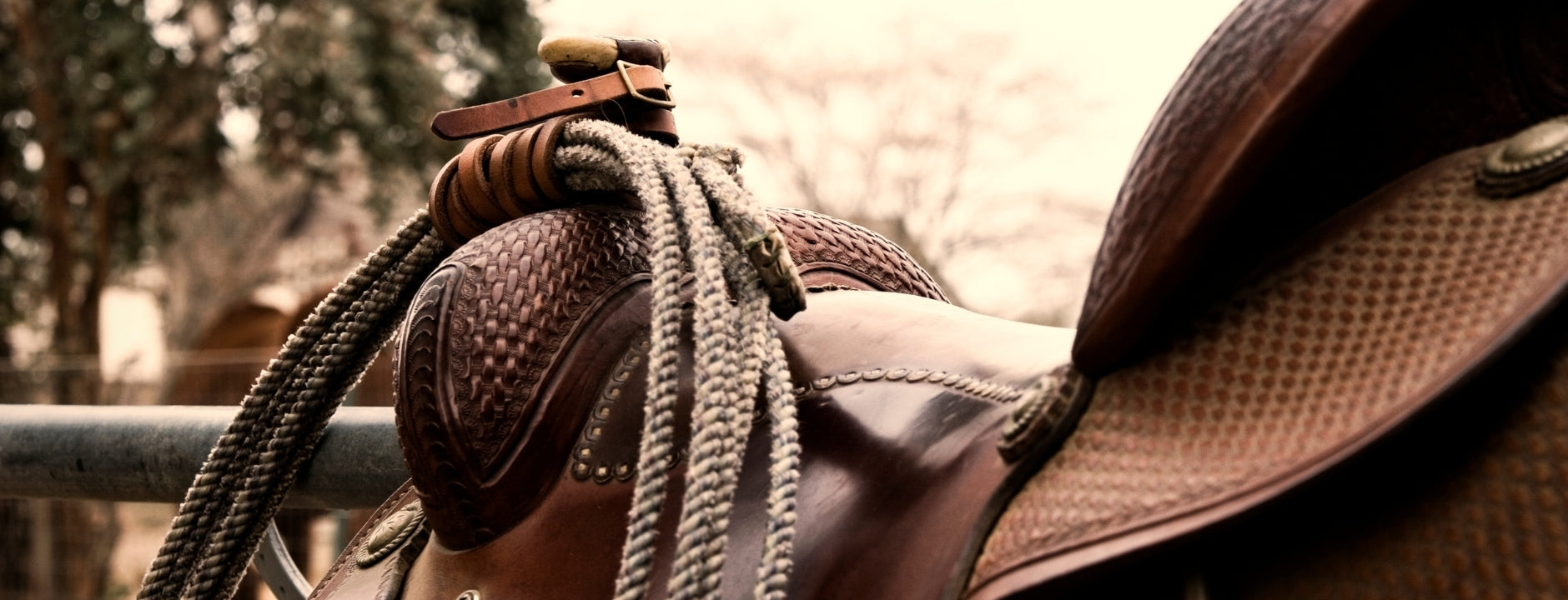 Ropes & Tack | Rodeo Gear, Western Saddles & Roping Supplies AU – Ropes ...