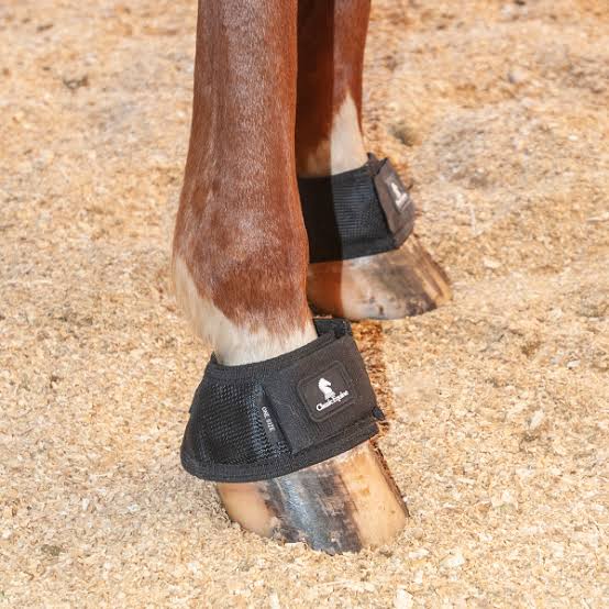 MAGNTX BELL BOOT