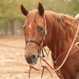 Double Rope Noseband, Plain