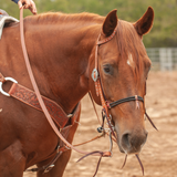 Double Rope Noseband, Plain
