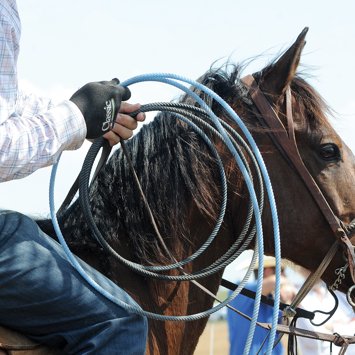 Custom Printed Roping Gloves HP Roping Glove – Ropes and Tack
