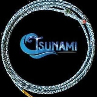 Tsunami Break-Away
