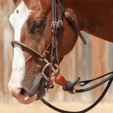 D Ring Snaffle