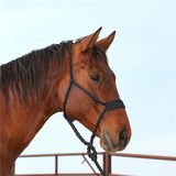 WIDE NOSE FLAT BRAID HALTER AND LEADROPE
